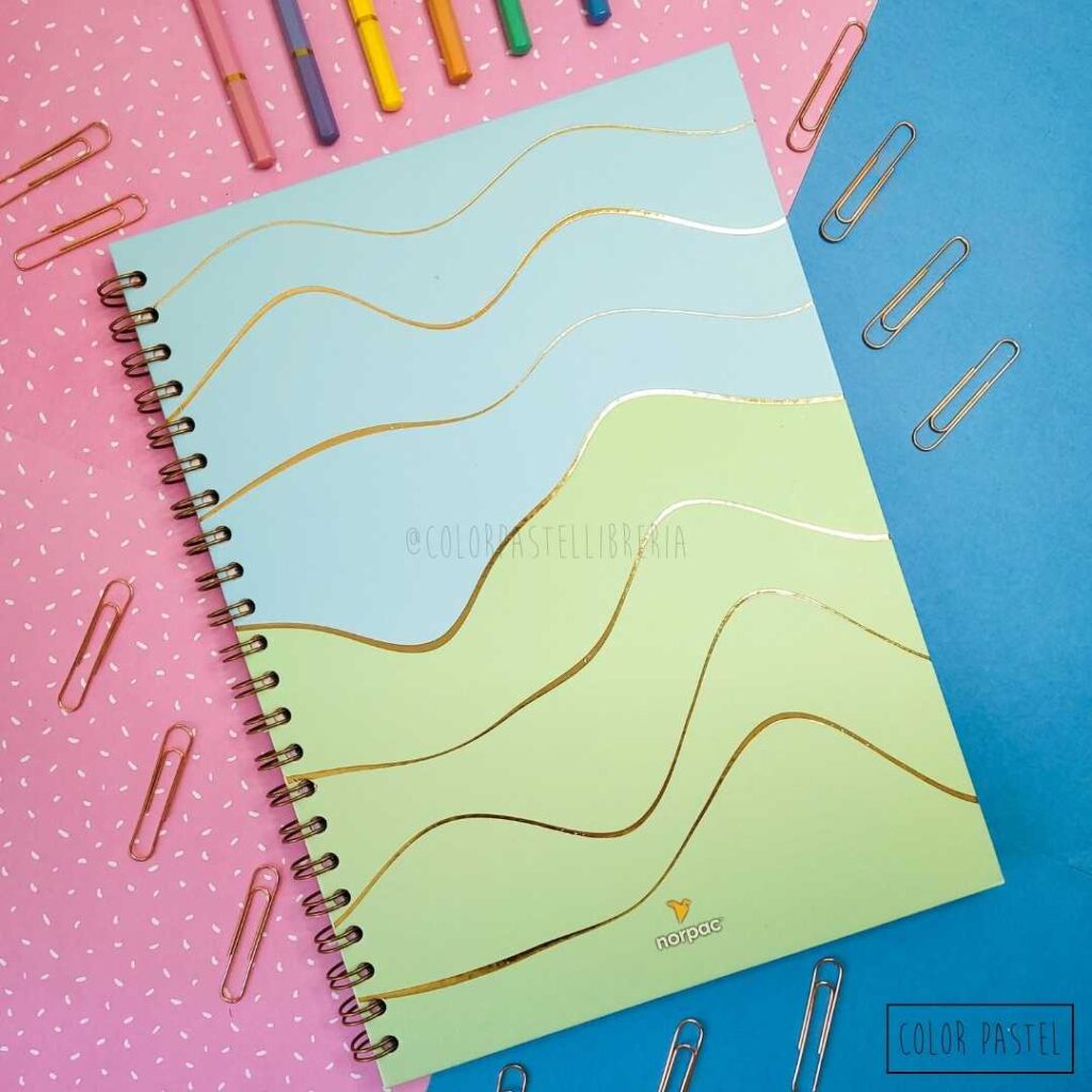 Color Pastel Libreria