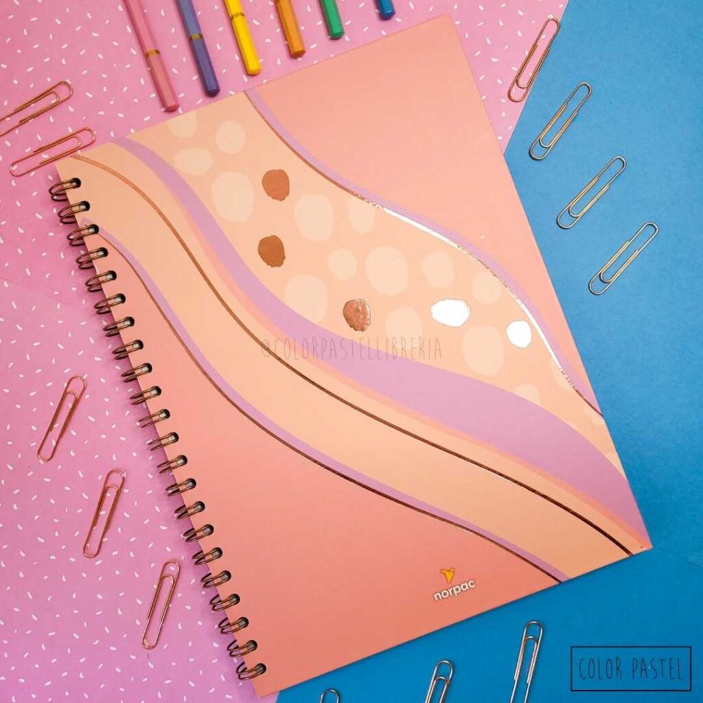 Color Pastel Libreria