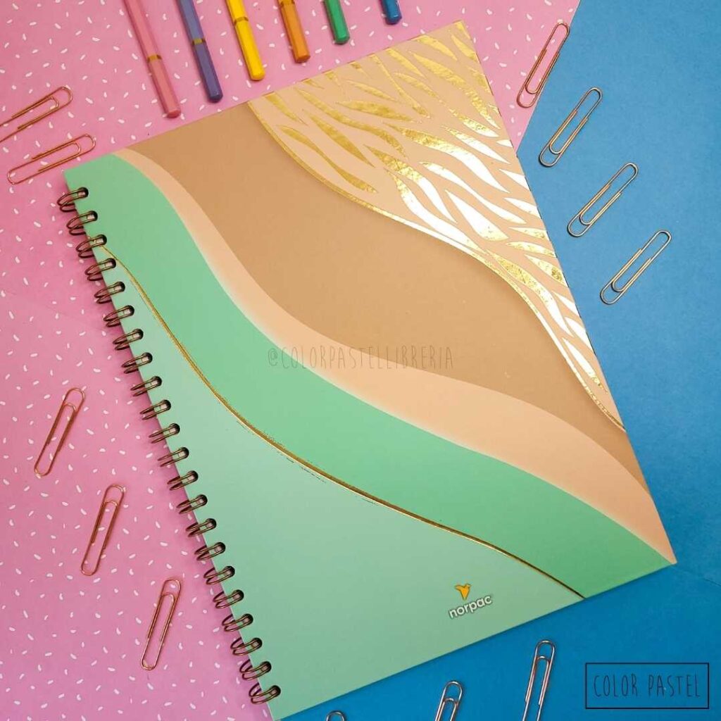 Color Pastel Libreria