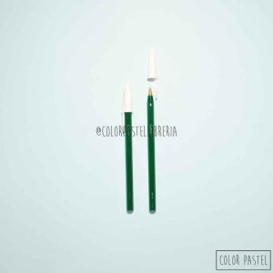 Bolígrafo BIC Trazo Grueso Verde