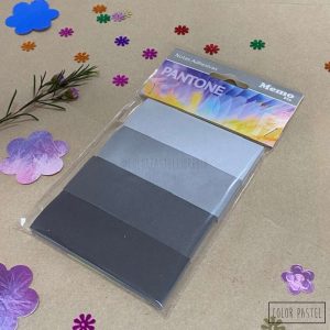 Notas adhesivas 25x74 x4 Pantone MemoFix - Gris