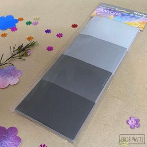 Notas adhesivas 50x74 x4 Pantone MemoFix - Gris