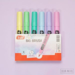 Big brush x6 pastel Trabi