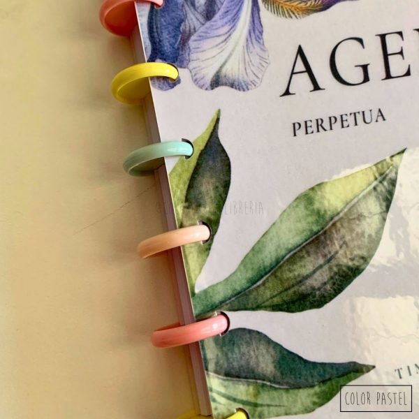 Agendas A5 Perpetuas | Personalizá tu futuro TIME TO GROW - Imagen 3